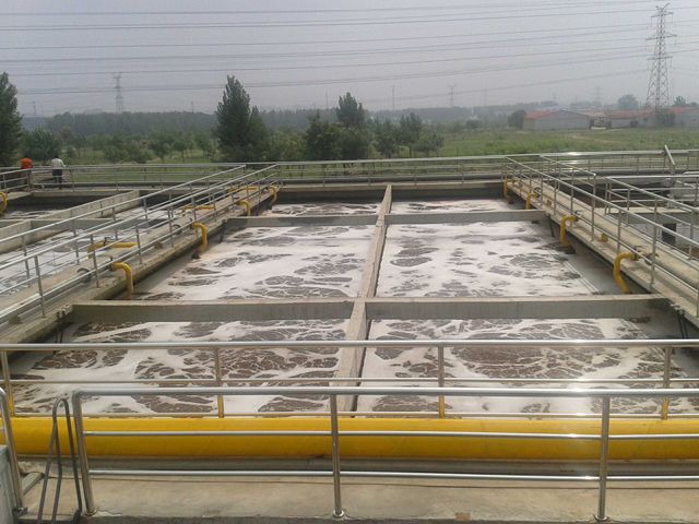 青岛宏利纺织印染有限多宝(中国)